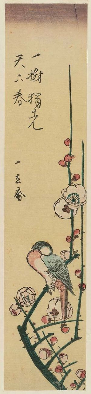 Utagawa Hiroshige: Bird on Plum Branch - Museum of Fine Arts