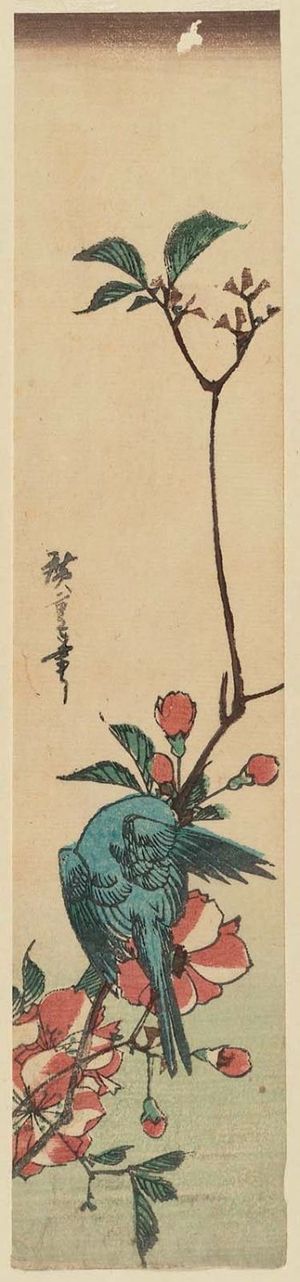 Utagawa Hiroshige: Bird and Mountain Cherry - Museum of Fine Arts