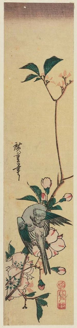 Utagawa Hiroshige: Bird and Mountain Cherry - Museum of Fine Arts