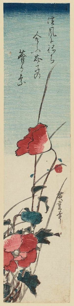 Utagawa Hiroshige: Poppies - Museum of Fine Arts