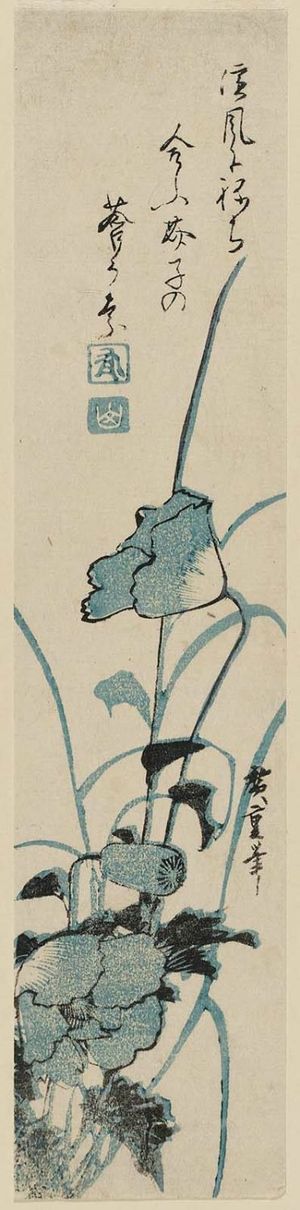 Utagawa Hiroshige: Poppies - Museum of Fine Arts