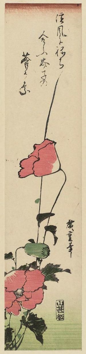 Utagawa Hiroshige: Poppies - Museum of Fine Arts