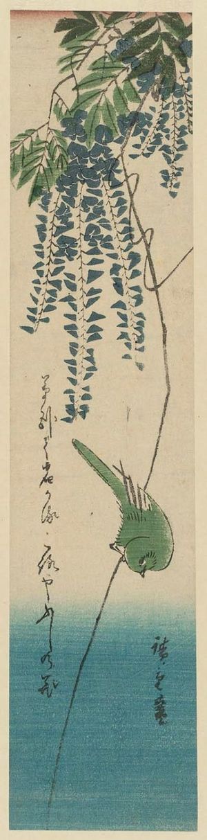 Utagawa Hiroshige: Japanese White-eye and Wisteria - Museum of Fine Arts