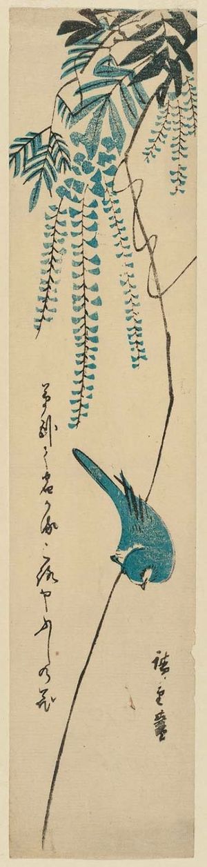 Utagawa Hiroshige: Japanese White-eye and Wisteria - Museum of Fine Arts