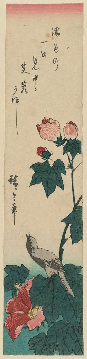 Utagawa Hiroshige: Bird and Hibiscus - Museum of Fine Arts