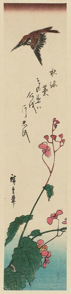 Utagawa Hiroshige: Sparrow and Begonia - Museum of Fine Arts