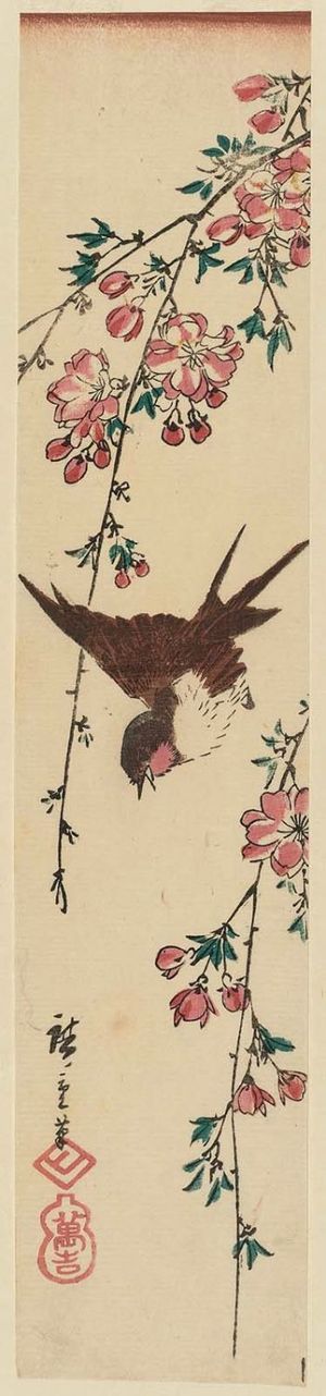 Utagawa Hiroshige: Swallow and Weeping Cherry - Museum of Fine Arts