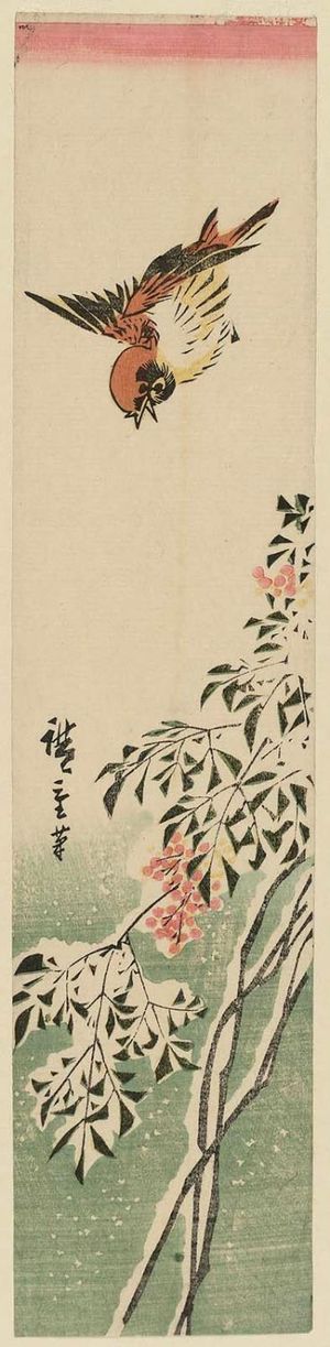 Utagawa Hiroshige: Sparrow and Nandina in Snow - Museum of Fine Arts