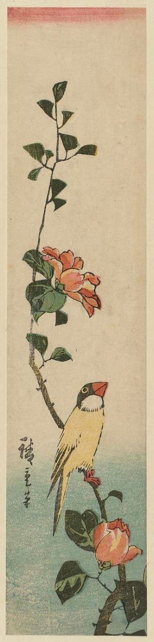 歌川広重: Finch on Wild Rose Branch - ボストン美術館