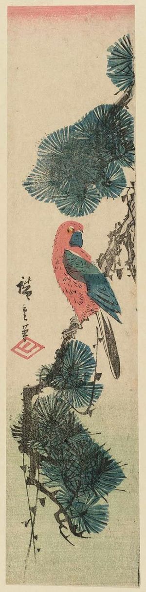 Utagawa Hiroshige: Macaw on Pine Branch - Museum of Fine Arts