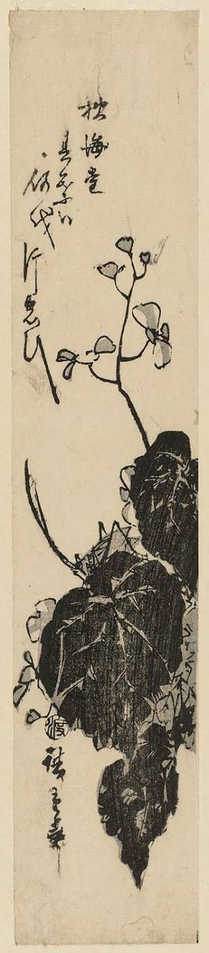 Utagawa Hiroshige: Begonia - Museum of Fine Arts