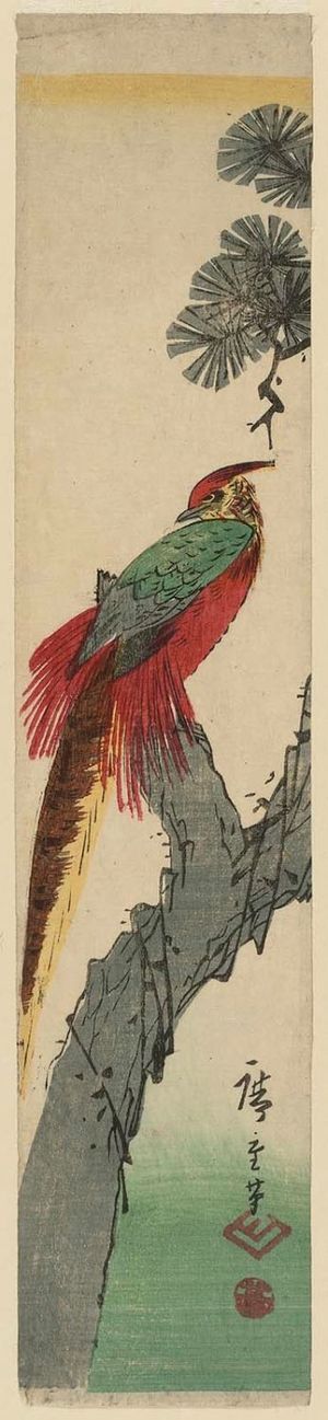 歌川広重: Golden Pheasant in a Pine Tree - ボストン美術館