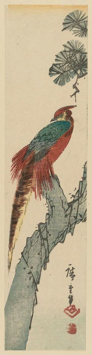 Utagawa Hiroshige: Golden Pheasant in a Pine Tree - Museum of Fine Arts