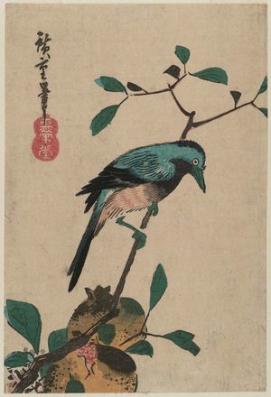 Utagawa Hiroshige: Bird on Pomegranate Branch - Museum of Fine Arts