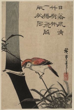 歌川広重: Bamboo and Sparrow - ボストン美術館