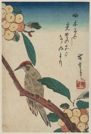 Utagawa Hiroshige: Woodpecker on Loquat Tree - Museum of Fine Arts