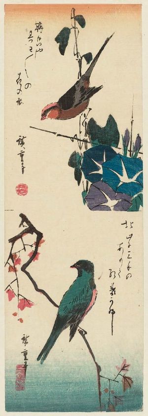 Utagawa Hiroshige: Bird and Morning Glories (top), Bird on Maple Branch (bottom) - Museum of Fine Arts