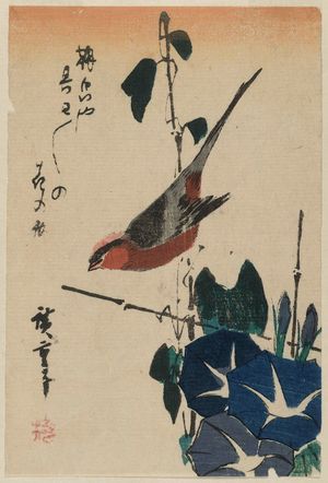Utagawa Hiroshige: Bird and Morning Glories - Museum of Fine Arts