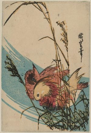Utagawa Hiroshige: Mandarin Ducks and Pampas Grass - Museum of Fine Arts