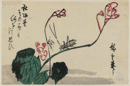Utagawa Hiroshige: Grasshopper and Begonia - Museum of Fine Arts