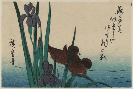 Utagawa Hiroshige: Irises and Ducks - Museum of Fine Arts