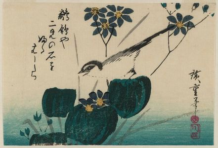 Utagawa Hiroshige: Wagtail and Waterplants - Museum of Fine Arts