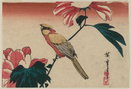 Utagawa Hiroshige: Oriole and Peony - Museum of Fine Arts