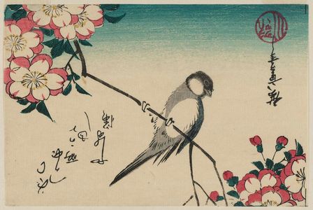 Utagawa Hiroshige: White-cheeked Bird and Double Cherry Blossoms - Museum of Fine Arts