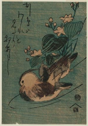 Utagawa Hiroshige: Mandarin Ducks and Mizu-aoi - Museum of Fine Arts