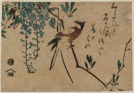 日本版画 "Black-naped Oriole and Wisteria" 由 Utagawa Hiroshige, 歌川広重 (Utagawa Hiroshige I) 创作