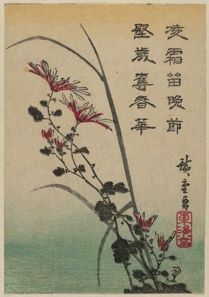 Utagawa Hiroshige: Wild Chrysanthemums - Museum of Fine Arts