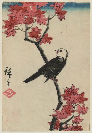 歌川広重: White-headed Bird on Maple Branch - ボストン美術館