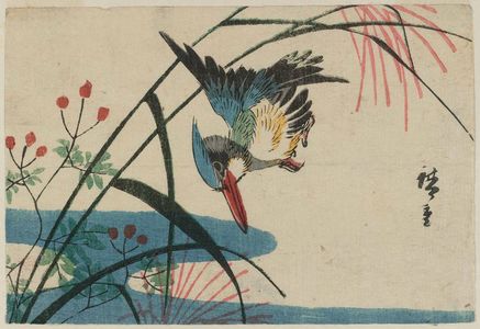 歌川広重: Kingfisher and Pampas Grass - ボストン美術館