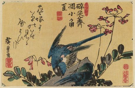 歌川広重: Bluebird and Flowers - ボストン美術館