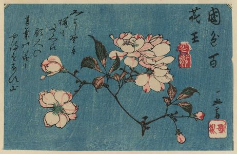 Utagawa Hiroshige: Cherry Blossoms - Museum of Fine Arts