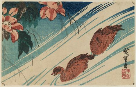 Utagawa Hiroshige: Hibiscus and Ducks - Museum of Fine Arts