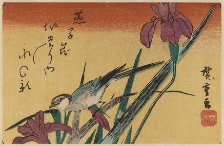 Utagawa Hiroshige: Irises and Wagtail - Museum of Fine Arts