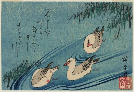 Utagawa Hiroshige: Oyster-catchers (Miyakodori) and Reeds - Museum of Fine Arts