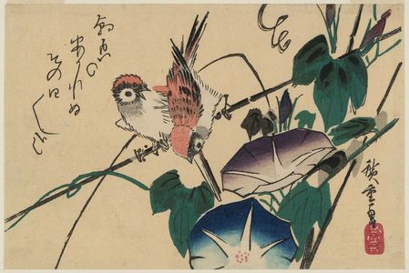 Utagawa Hiroshige: Morning Glories and Sparrow - Museum of Fine Arts