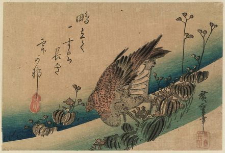 Utagawa Hiroshige: Water Plants and Snipe - Museum of Fine Arts