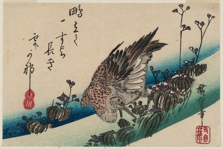 Utagawa Hiroshige: Snipe and Mizu-aoi - Museum of Fine Arts