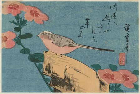 Utagawa Hiroshige: Pinks and Wagtail - Museum of Fine Arts