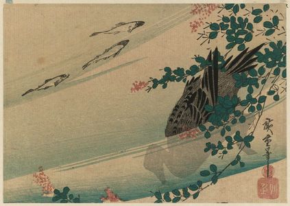 Utagawa Hiroshige: Fish, Duck, and Bush Clover - Museum of Fine Arts