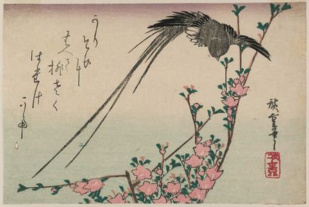 Utagawa Hiroshige: Long-tailed Bird and Peach Blossoms - Museum of Fine Arts