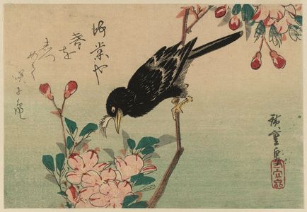 Utagawa Hiroshige: Aronia and Mynah Bird - Museum of Fine Arts