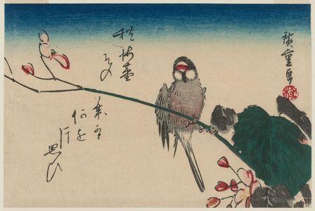 Utagawa Hiroshige: Bird on Begonia - Museum of Fine Arts