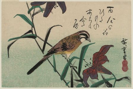 Utagawa Hiroshige: Bunting and Lilies - Museum of Fine Arts