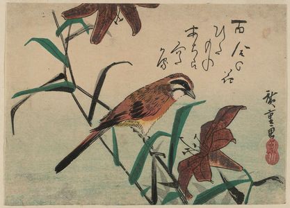 Utagawa Hiroshige: Bunting and Lilies - Museum of Fine Arts