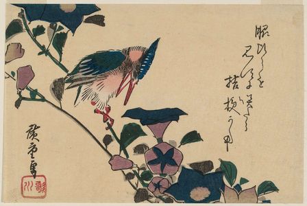 Utagawa Hiroshige: Bellflowers and Kingfisher - Museum of Fine Arts