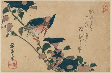 Utagawa Hiroshige: Bellflowers and Kingfisher - Museum of Fine Arts